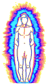 BIOCAMPO-transparente