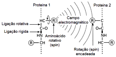 comunicação-proteica