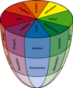 modelo-circumplex-cone-transparente