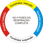 Fases-da-respiracao