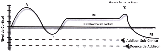 padrão-1-fadiga-adrenal