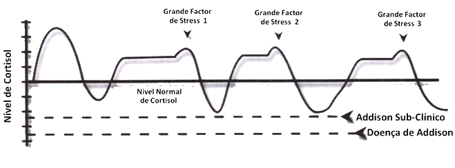 padrão-3-fadaiga-adrenal