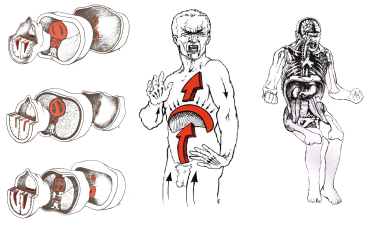 Stanley Keleman "Anatomia Emocional"