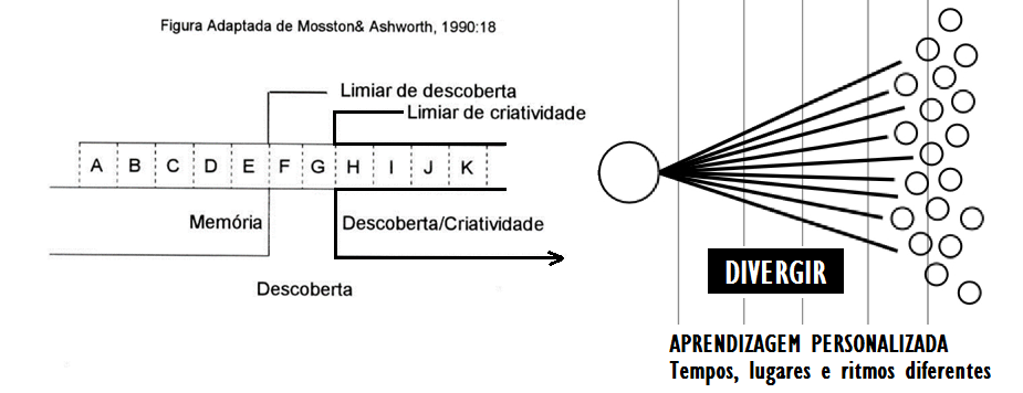 estilos de ensino organograma