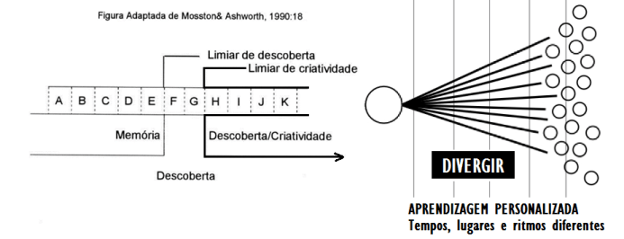 estilos de ensino organograma