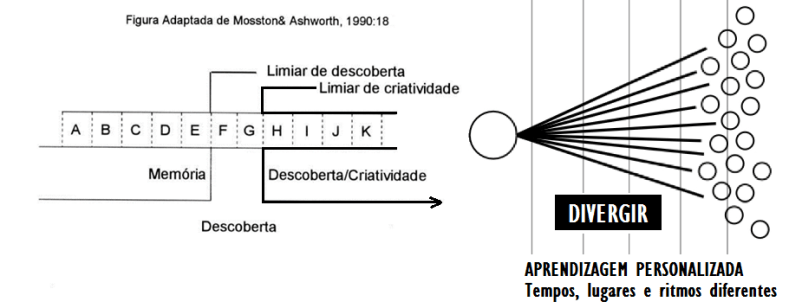estilos de ensino organograma