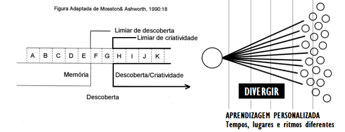 estilos de ensino organograma