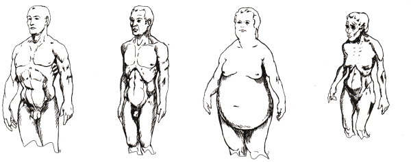 ANATOMIA EMOCIONAL (2)