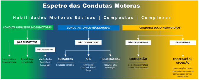 espectro das habilidades motoras
