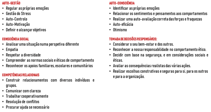 ASE competencia social e emocional 2