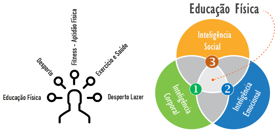 educacao fisica inteligencias multiplas