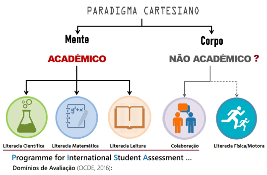 paradigma cartesiano