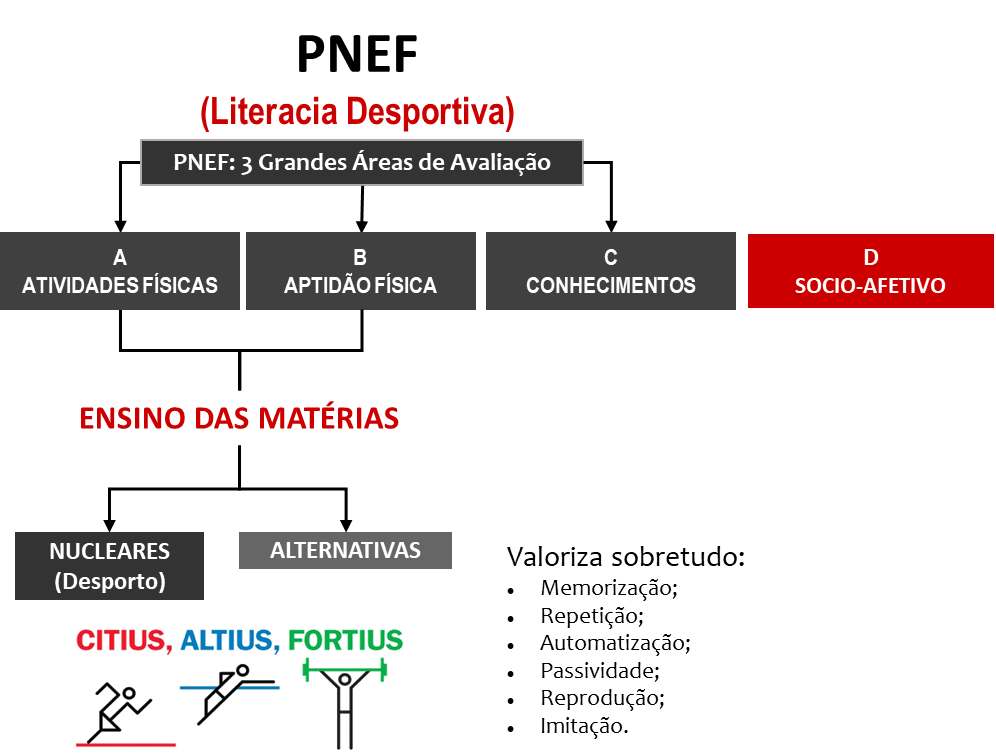 ensino das matérias