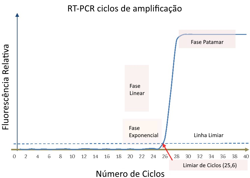 LIMIAR DE CICLOS RT-PCR