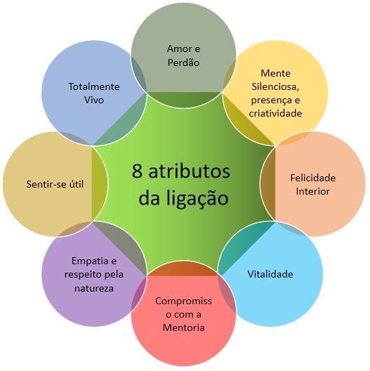 atributos da ligação