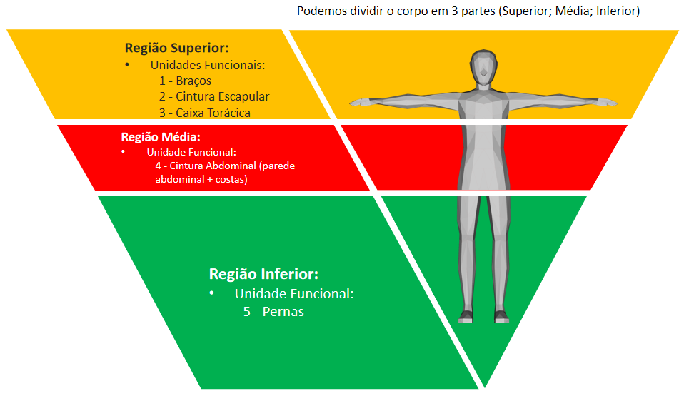 massa muscular solicitada