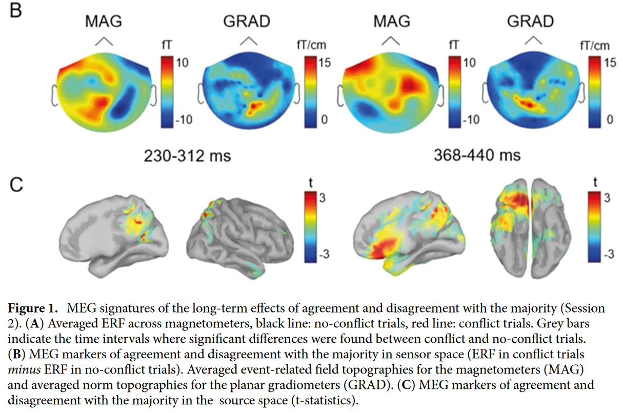 MEG confomidade e independência