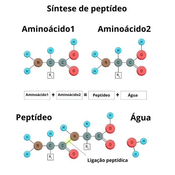 sintese-de-peptideo