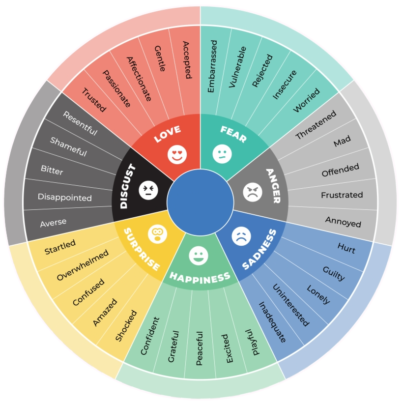 roda das emoções