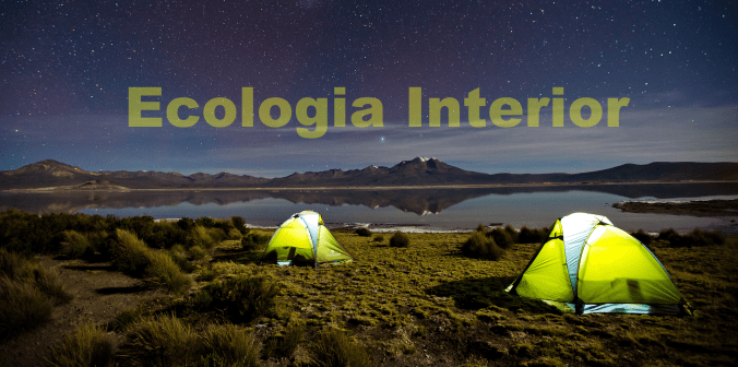 Educação para a Paz&nbsp;-2