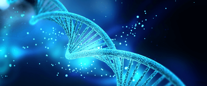 A Espiral Práxica no&nbsp;MPMH©