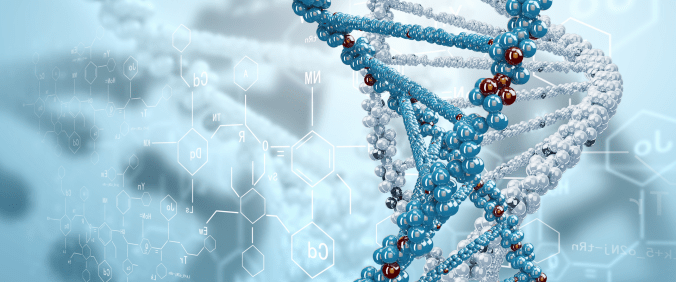 A Espiral Práxica no&nbsp;MPMH©